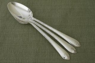 Exquisite Wm Rogers & Son Silverplate 3 Serving / Tablespoons 8 3/8 "