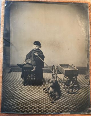 Antique Tintype Whole Plate Studio Pose Young Boy With His Dog & Wagon C.  1880