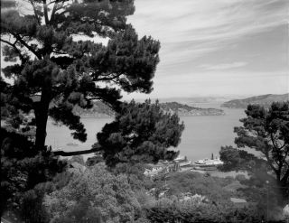 San Francisco Bay & Ferry View From Tiburon,  Marin Co.  1934 8x10 Film Negative