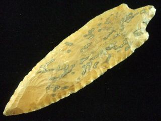 Exceptional Colored 5 Inch Mississippi Adena Narrow Stem Arrowheads Insight