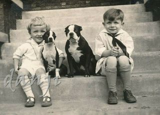 Kids Sitting On The Steps With Boston Terrier Dog And Her Puppy Cute Old Photo