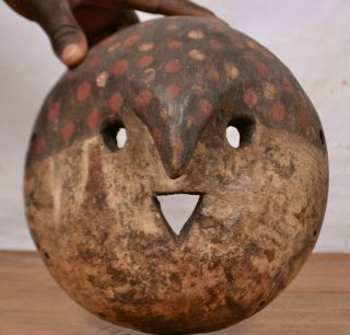 African Arts Tribal,  Bapele Mask From Kisangani Democratic Republic Of Congo