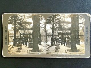 1901 China Chinese Stereoview Boxer Rebellion German Soldiers Forbidden Palace
