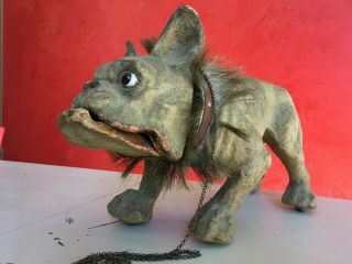 French Bulldog Antique Pull Toy 19th century 3