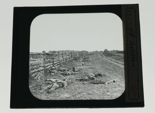 Civil War Dead Soldiers Antietam " Taylor Huntington " Brady Glass Slide