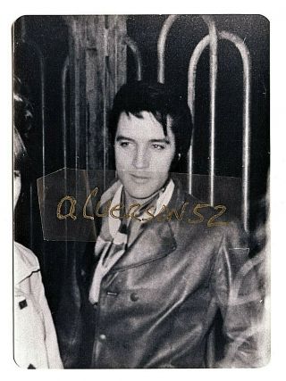 Elvis Presley B/w Vintage Candid Photo - Beverly Hills,  Ca - Novembe 26,  1968