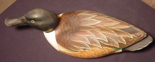 Vintage 17 " Hand - Carved Wood Shoveler Drake Duck Decoy Big Sky Carvers Co.