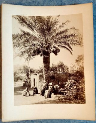 1880s ZANGAKI CABINET PHOTO CAIRO EGYPT? COLLECTING HARVESTED DATES 2
