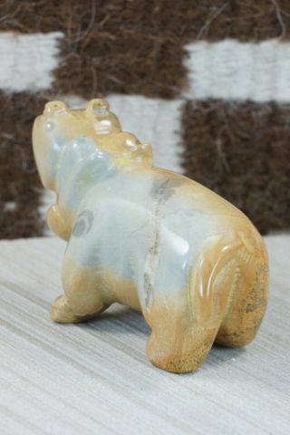 Hippo Zuni Fetish Carving - Enrike Leekya 3