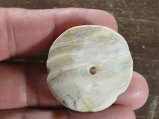 Mississippian Marine Shell Disk Bead,  Madrid County,  Mo. ,  Dia.  - 1.  1/2