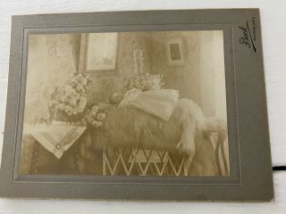 Post Mortem Dead Baby Infant,  Casket Victorian Cdv Cabinet Photo