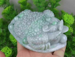 Certified Natural Green（grade A）jade Jadeite Toad Statue 10692h5 招财金蟾 摆件