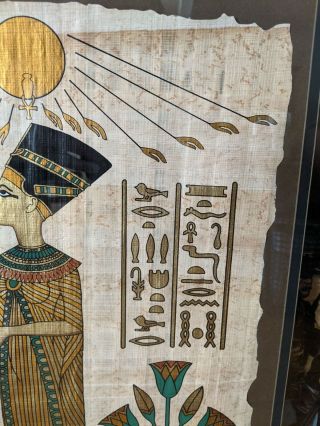 The Nefertiti Papyrus Framed with Certificate of Authenticity 2