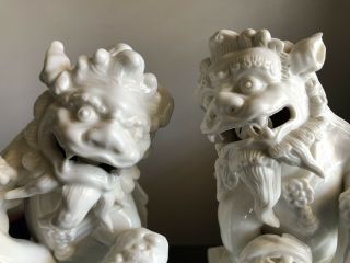 20th C PAIR Foo Dog Lions Statues Chinese Blanc de Chine Dehua White Porcelain 3