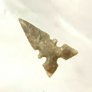 Outstanding Toyah Point Webb Co. ,  Texas Authentic Arrowhead Indian Artifact B927