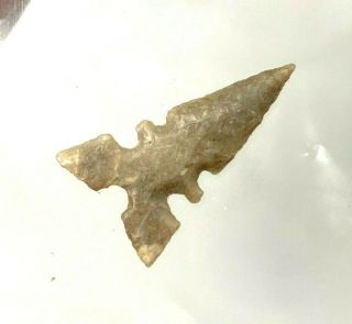 OUTSTANDING TOYAH POINT WEBB CO. ,  TEXAS AUTHENTIC ARROWHEAD INDIAN ARTIFACT B927 3