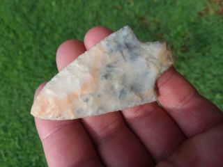 Arrowhead Deep South Artifact Florida Newnan Coral Ancient Archaic Paleo Trans