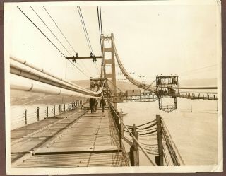 Undated Press Photo View Of The Double Cat Walks Beneath Cable Golden Gate Bridg