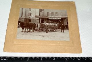 Rare Antique American Storefront Harness & Ice Cream Shops NH Cabinet Photo US 5