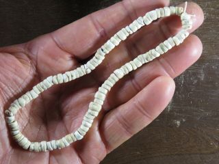 12 In.  Mississippian Shell Bead Necklace,  Smyth County,  Virginia X Beutell