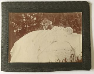 Post Mortem Cabinet Card Baby With Elaborate Setting