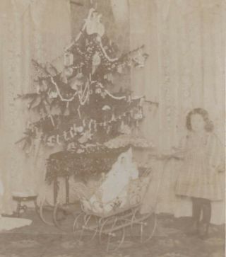 1890s Cabinet Photo Girl With Baby Doll & Pram At Christmas Tree