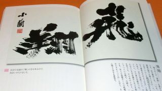 Calligraphy By The Japanese Woman Of The Down Syndrome Book Chinese 0462