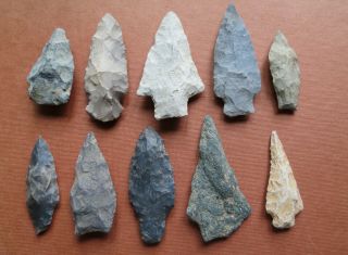 10 Authentic Spear Points Indian Arrowheads Lancaster County Pa Native American