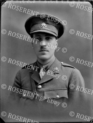 1915 The East Surrey Rgt - Lt Herbert Cox - Glass Negative 22 By 16cm