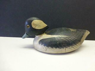 Vintage Signed V Bufflehead Duck Decoy W/glass Eyes Hand Carved & Painted