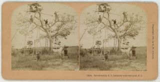 Philippine American War 17th Infantry Lookout Post Stereoview 21566
