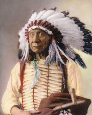 Chief Red Cloud Native American Sioux Indian 1897 11x14 " Hand Color Tinted Photo