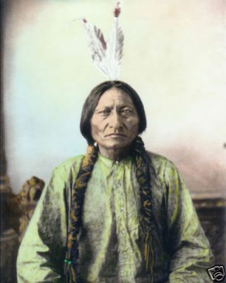 Sitting Bull Native American Sioux Indian 1884 11x14 " Hand Color Tinted Photo