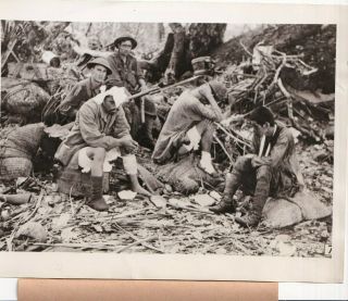 Wwii Guinea Australian Troops Jungle Captured Japaneses 1943 Press Photo 258
