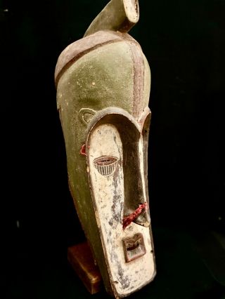 African Mask Wood Carved Tribal Hand Fang Ngil Justice Mask