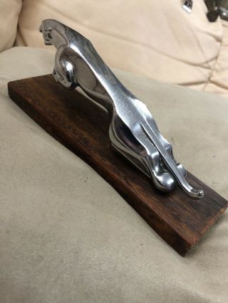 Vintage Jaguar Leaping Chrome Car Mascot With Numbers On Wooden Base