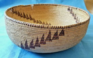 Large California Indian Basket,  Coiled