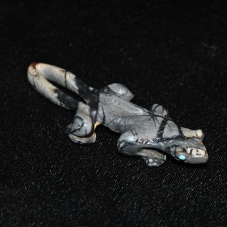 Zunie Fetish Lizard By Karen Zuni,  Picasso Marble W/turquoise,  2.  75 " L