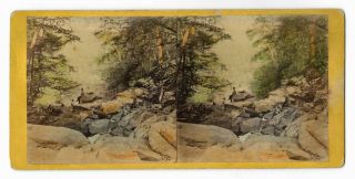 Antique Glens Of The Catskills Tinted Hand Colored Hudson Valley Stereoview Card