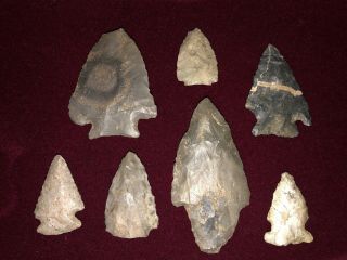 Authentic Native American Arrowheads From Indiana.  Decatur,  Turkeytail,  In Green