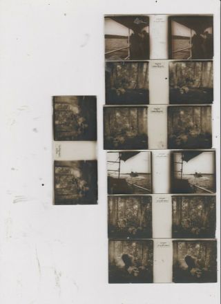 7 Stereo Glass Slide Negatives With 3 Boxes
