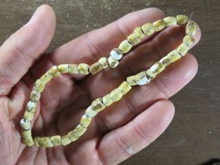 12 In.  Late Prehistoric Shell Bead Necklace Smyth Co.  Virginia X Beutell