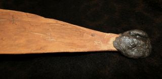 Older Australian Aboriginal Woomera,  Spear Thrower 16 5/ ',  Spinifex & Gut Sinew 2