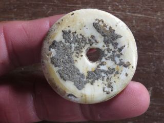 Exceptional Mississippian Marine Shell Disk Bead,  1.  3/4 in.  dia.  NE Arkansas 2
