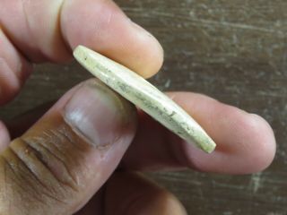 Exceptional Mississippian Marine Shell Disk Bead,  1.  3/4 in.  dia.  NE Arkansas 3