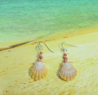 (pecten Langfordi) Sunrise Shell & Kahelelani Earrings Silver Handmade