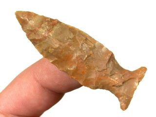 COLORFUL FISH SPEAR POINT ARROWHEAD LICKING CO. ,  OHIO AUTHENTIC ARTIFACT B31 3