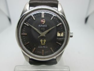Vintage Rado Golden Horse 93jewels Date Stainless Steel Automatic Mens Watch
