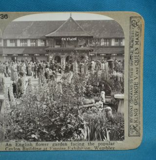 Scarce 1924 Stereoview Photo British Empire Exhibition Wembley Ceylon Pavilion
