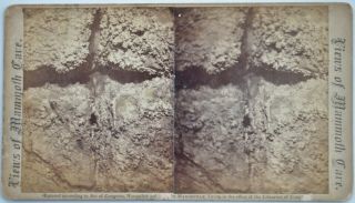 KENTUCKY Stereoview Mammoth Cave Cross Flowers Cleveland Cabinet M.  Thum 1870 ' s 2